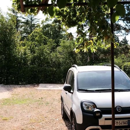 Manjsa Hisa Savudrija Alberi Zraven Petram Naselja Hotel Crveni Vrh Eksteriør billede